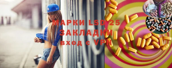 индика Балабаново