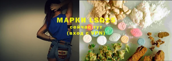 PSILOCYBIN Армянск