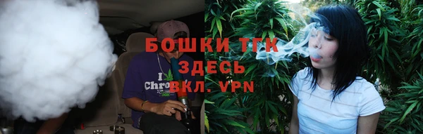 стафф Арсеньев