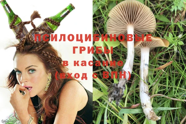 стафф Арсеньев