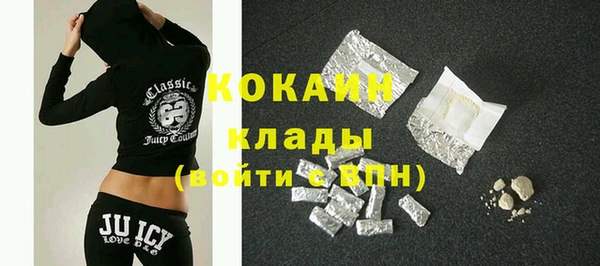 индика Балабаново