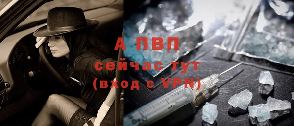 индика Балабаново